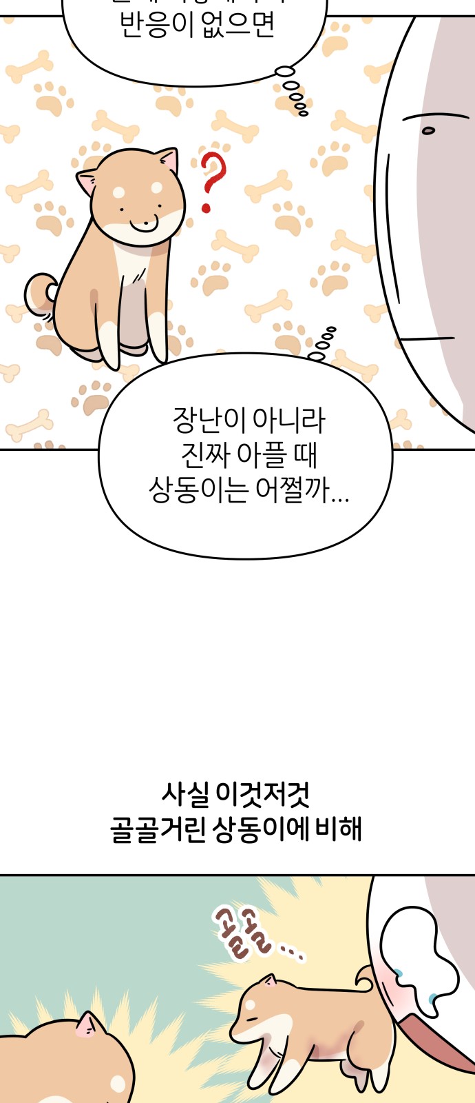 21 페이지