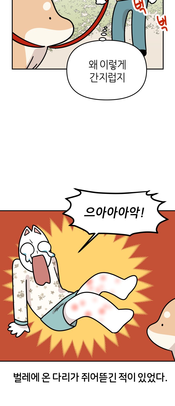 24 페이지
