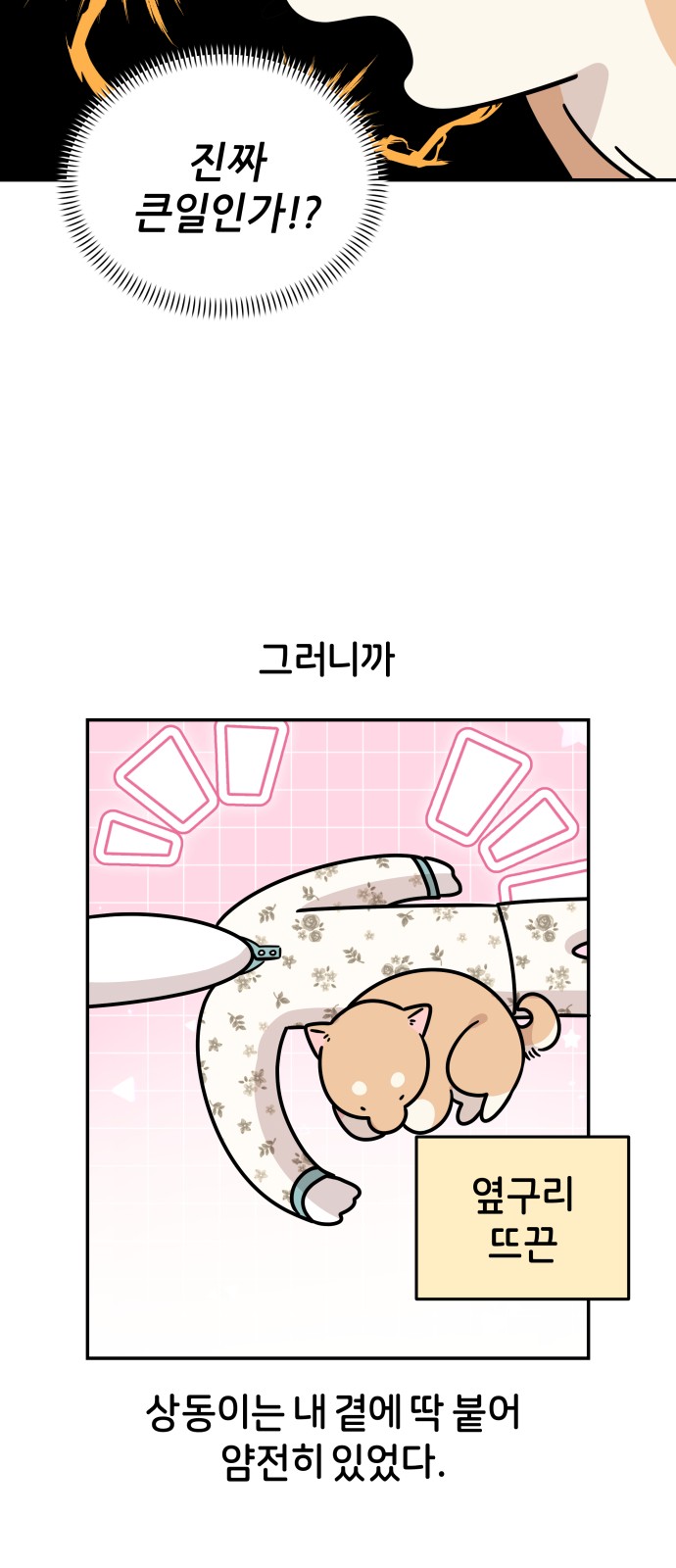 32 페이지