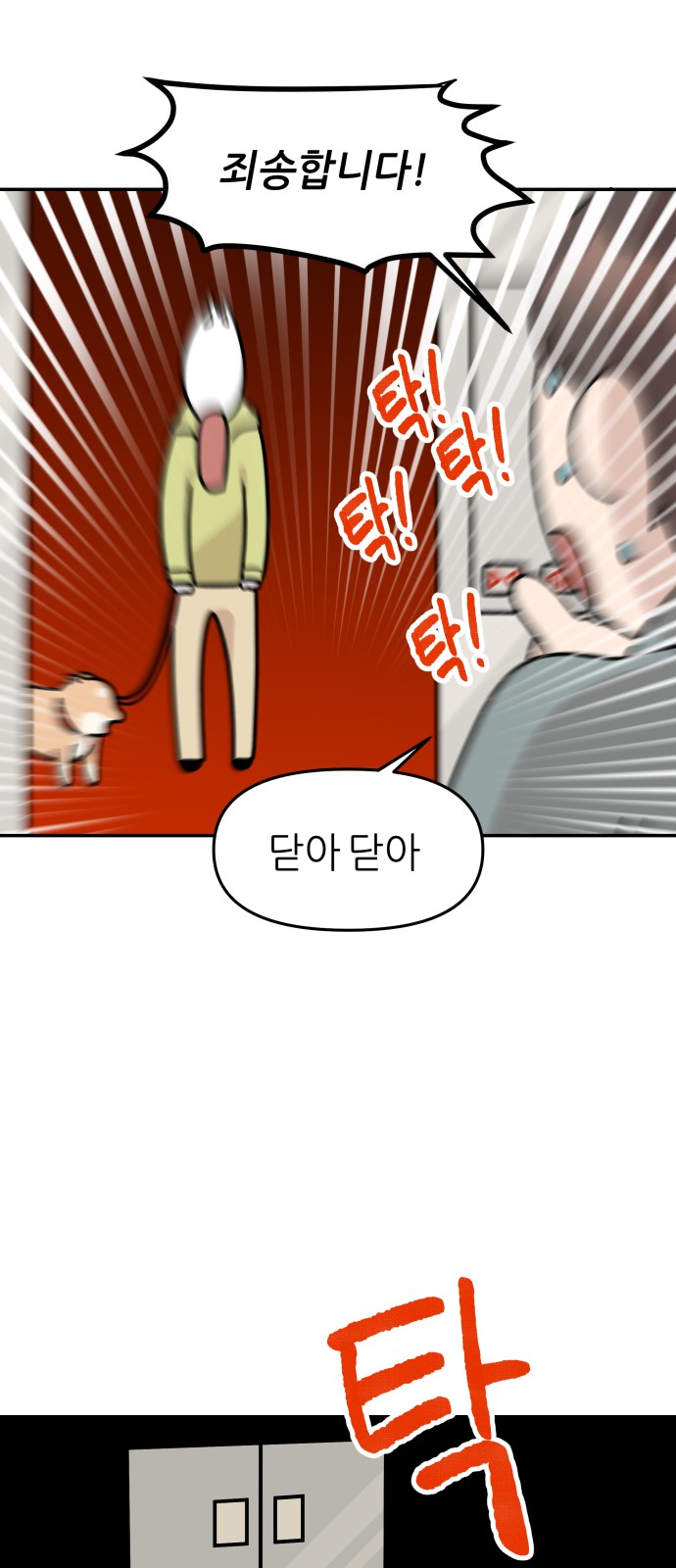 16 페이지