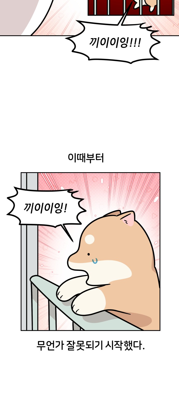 17 페이지