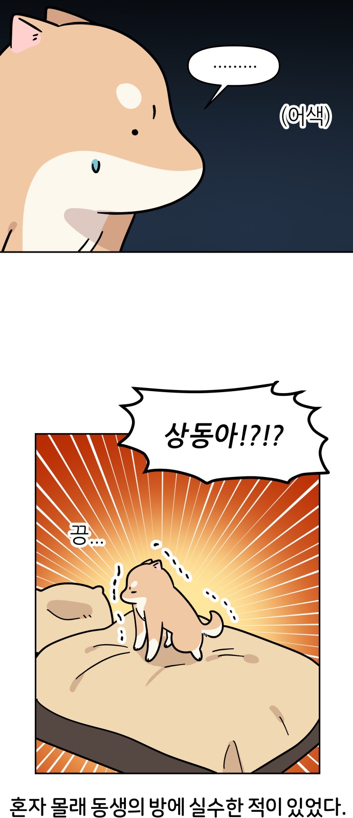12 페이지
