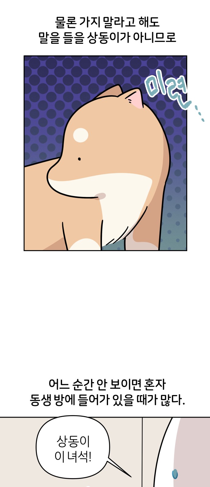 14 페이지