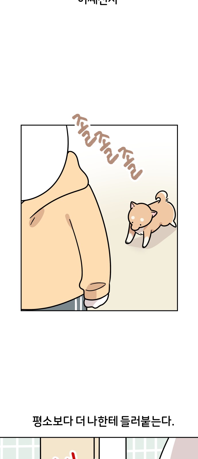 29 페이지