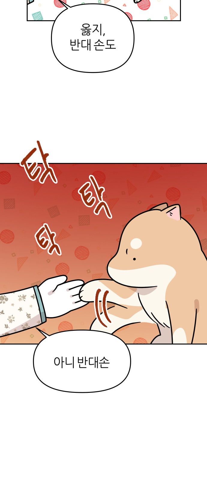 16 페이지