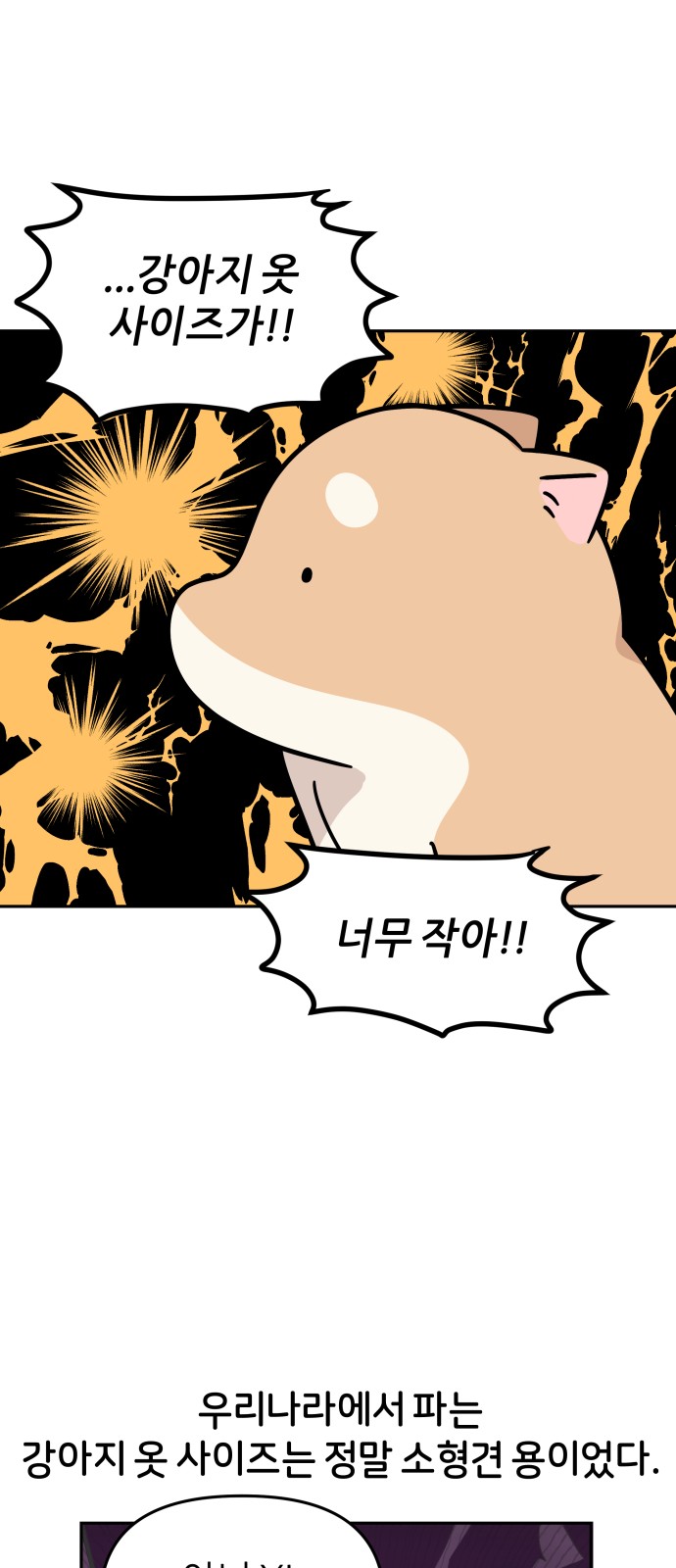 12 페이지
