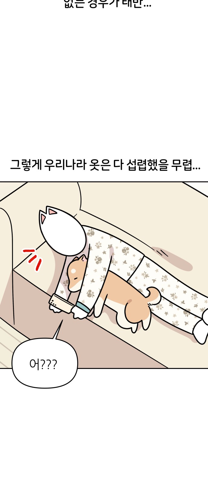 15 페이지