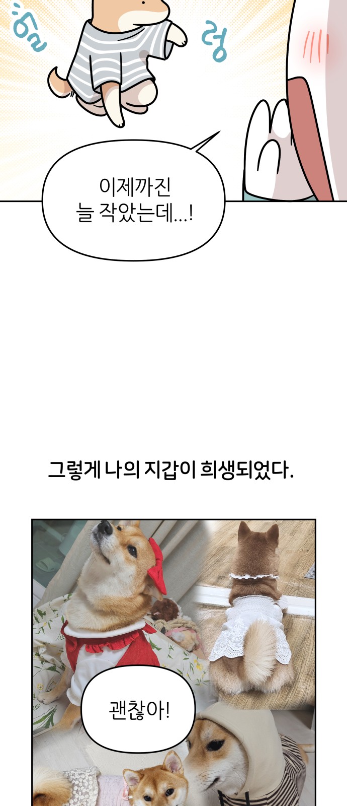 17 페이지