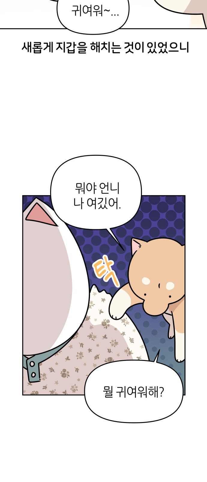 21 페이지
