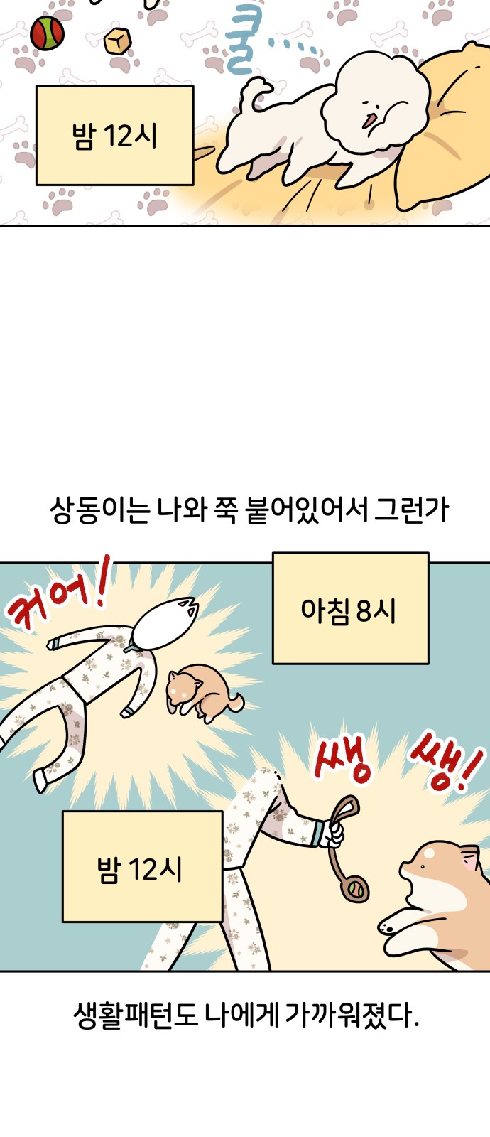 20 페이지