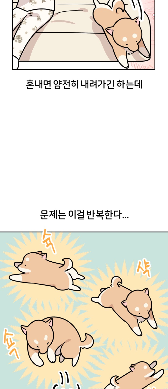 16 페이지
