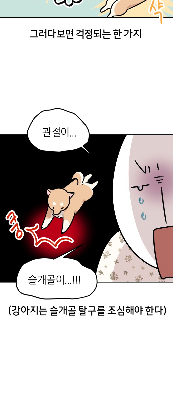 17 페이지