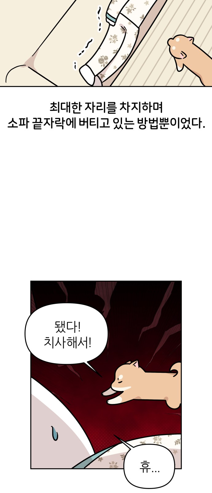 19 페이지