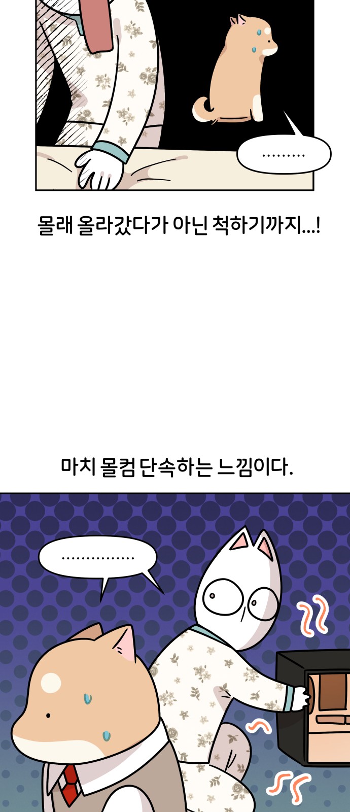 25 페이지