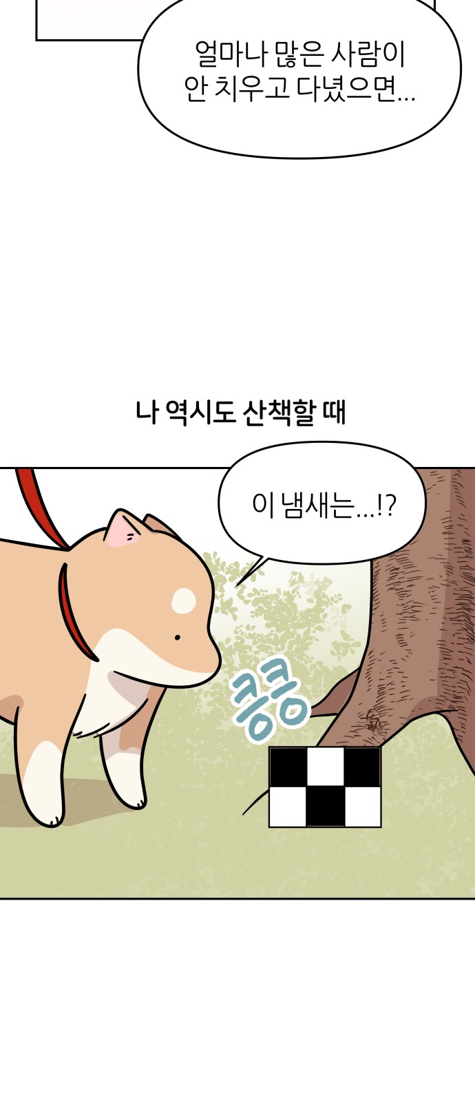 11 페이지