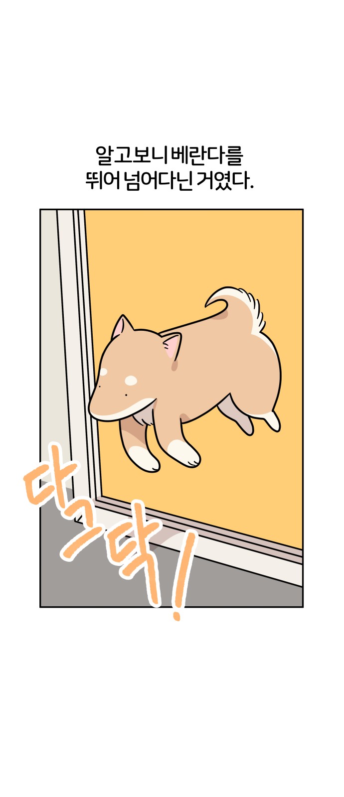 17 페이지
