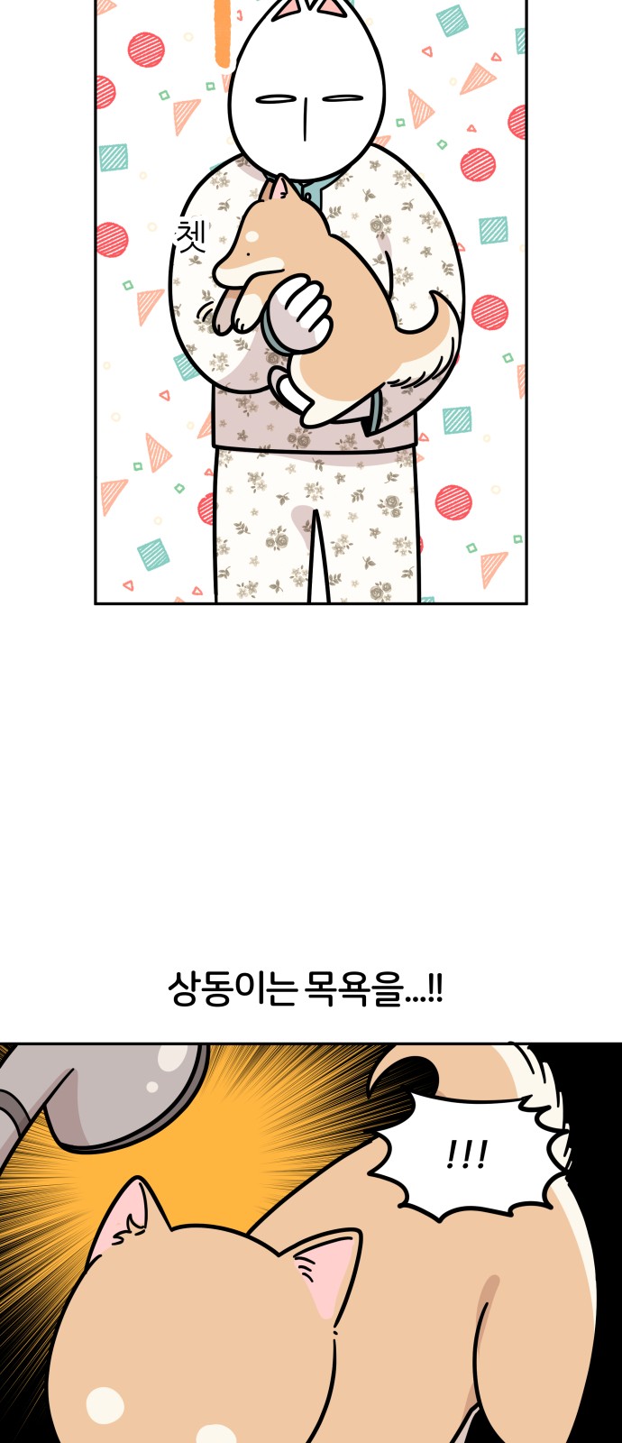 3 페이지