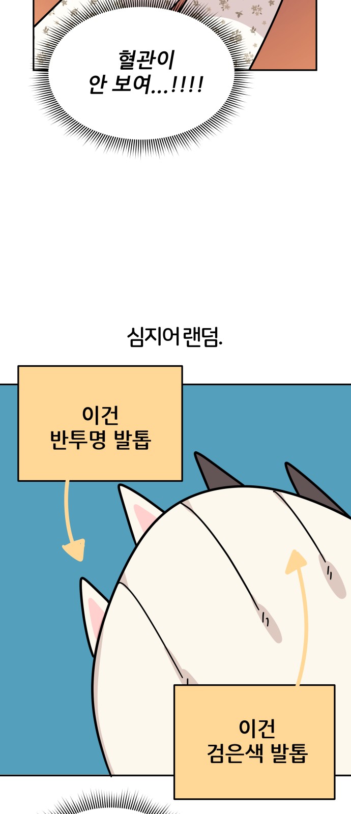 41 페이지