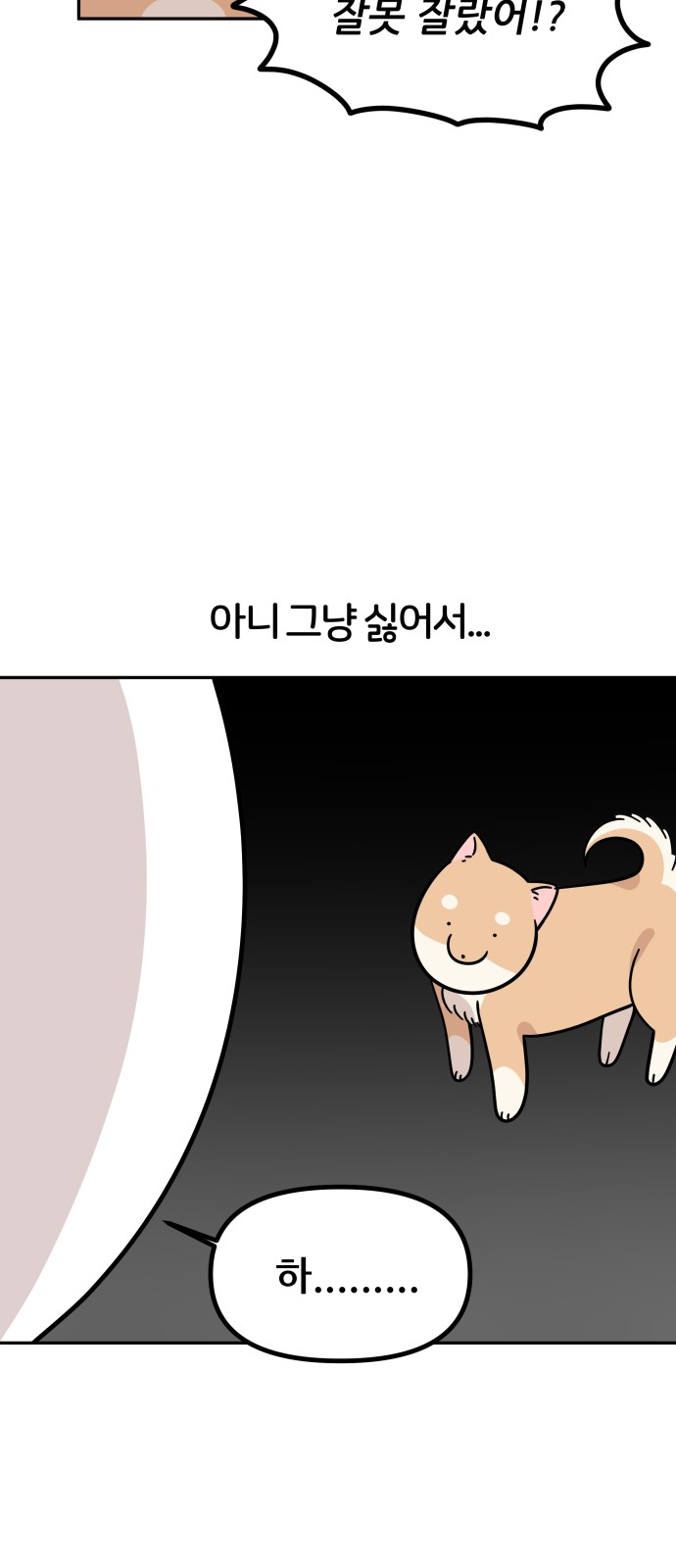 43 페이지