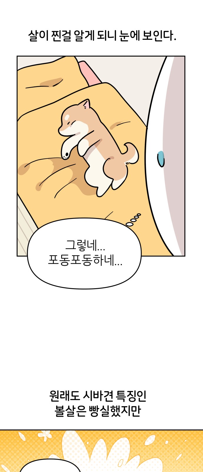 17 페이지