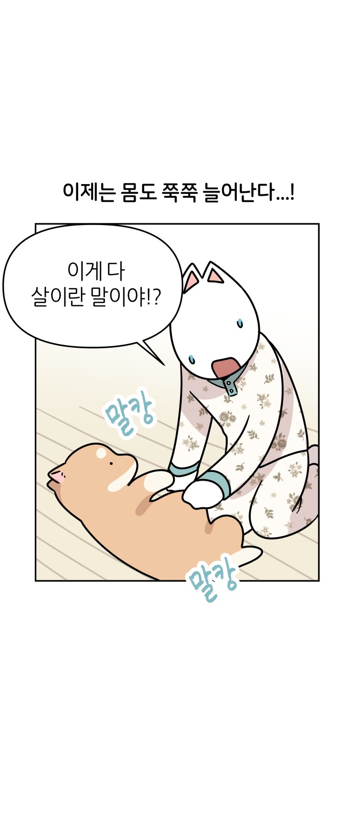 19 페이지