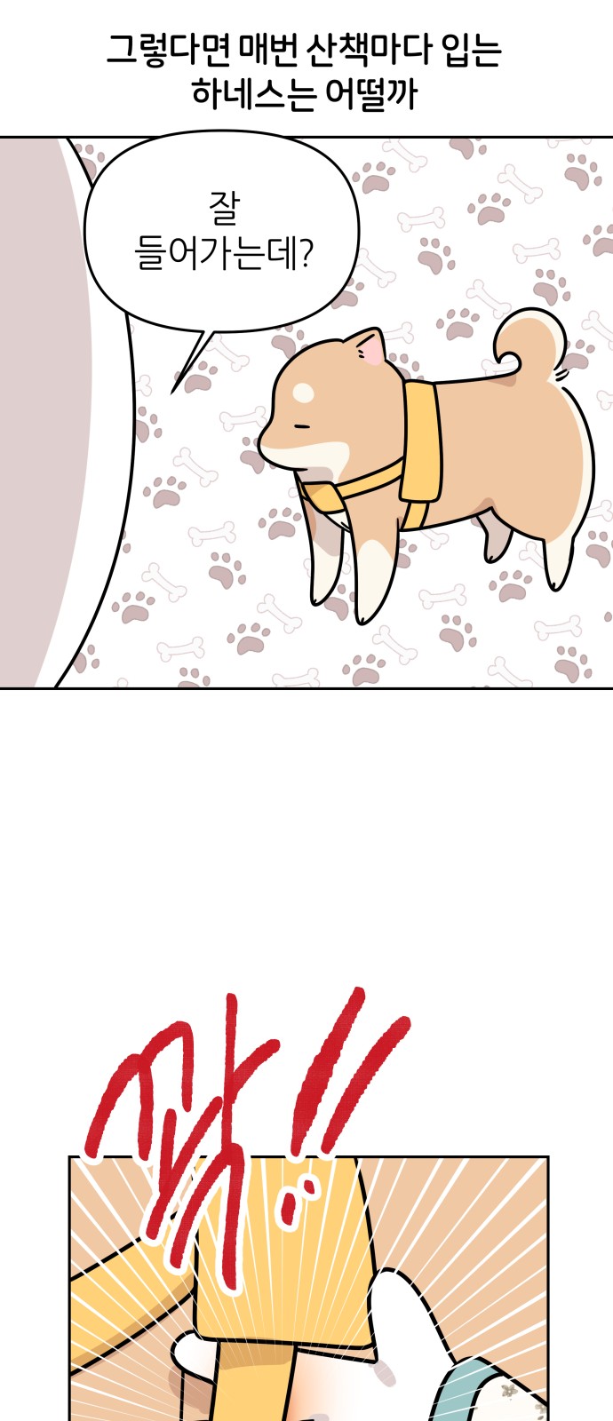 20 페이지