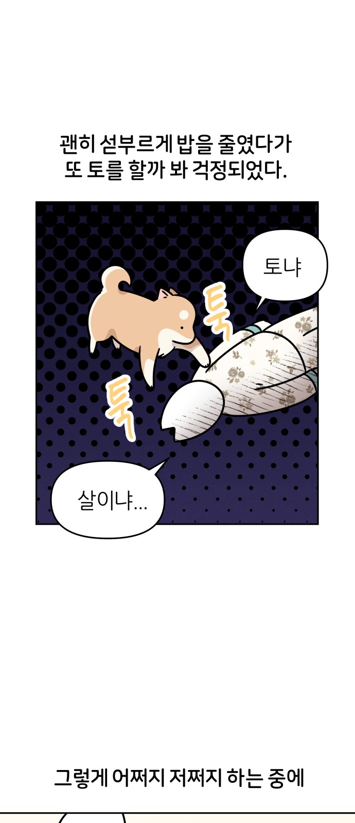 30 페이지