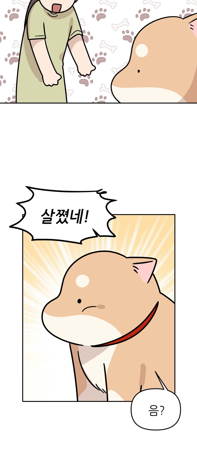 5 페이지