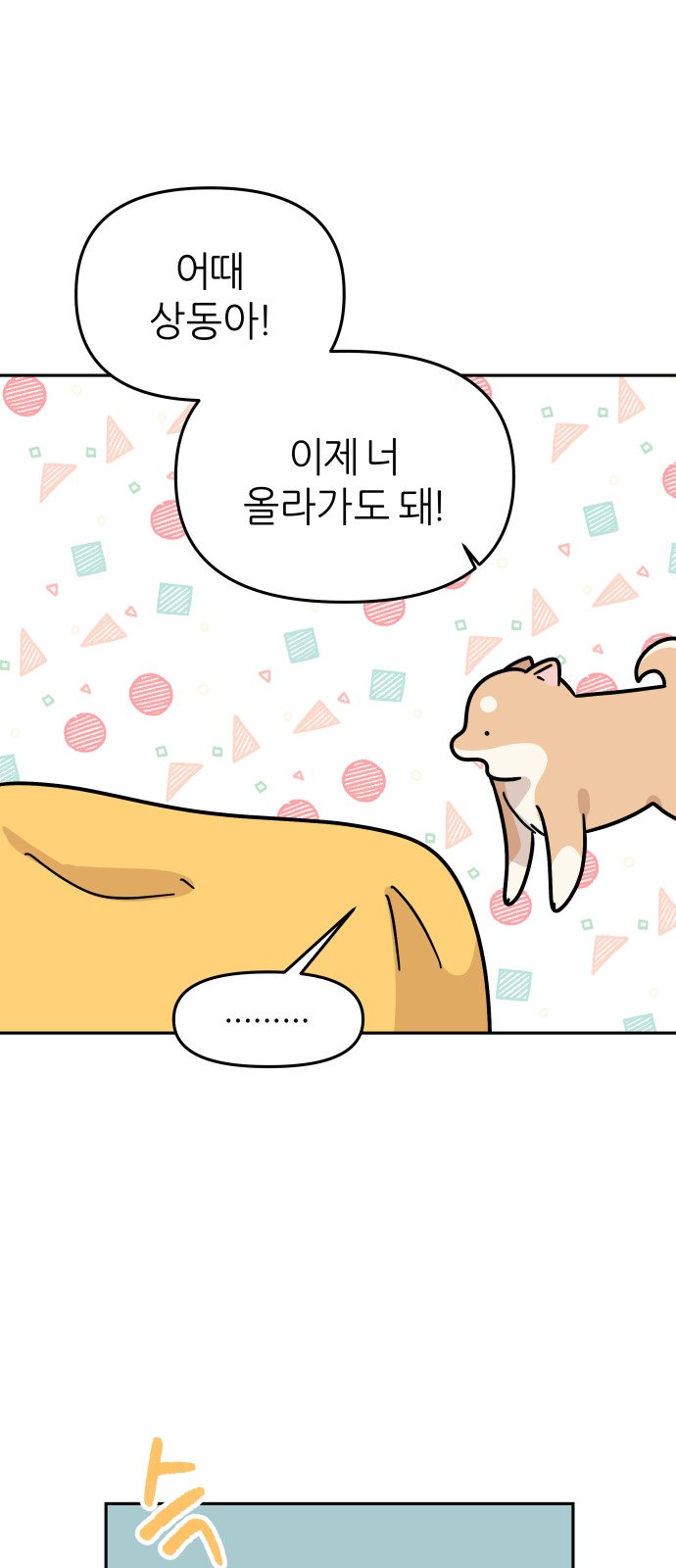 11 페이지