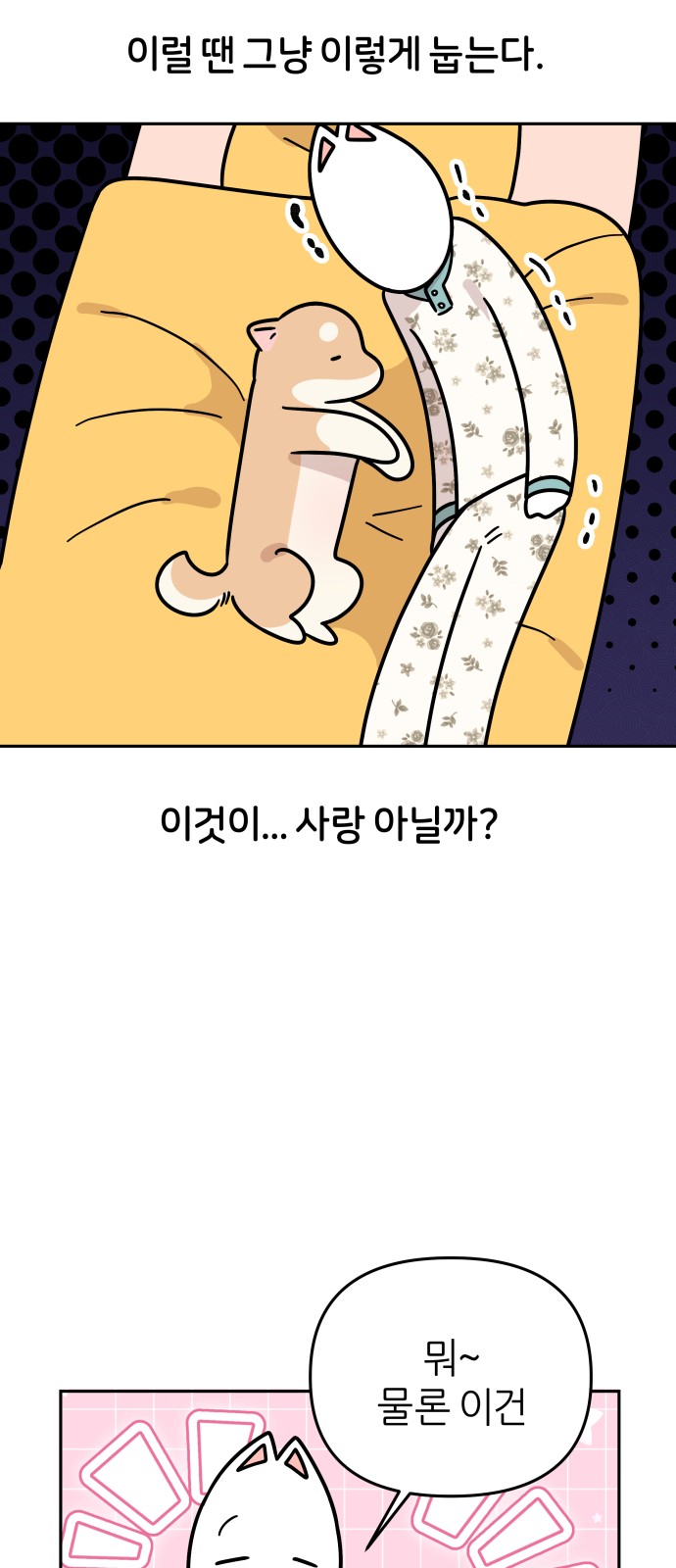 27 페이지