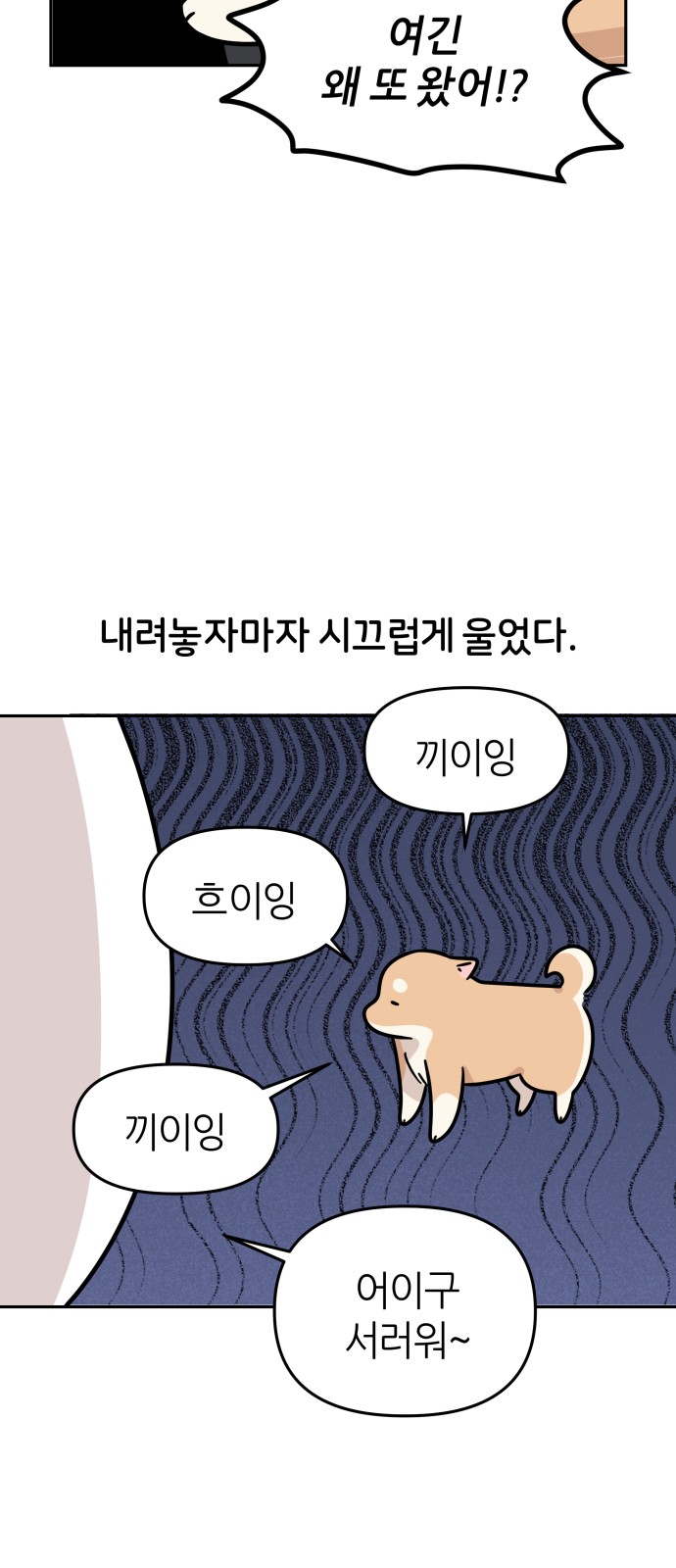 13 페이지