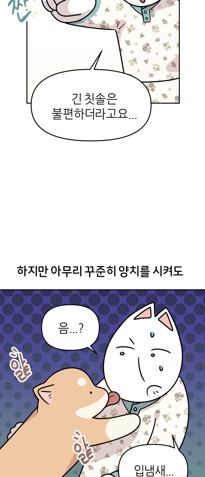 3 페이지