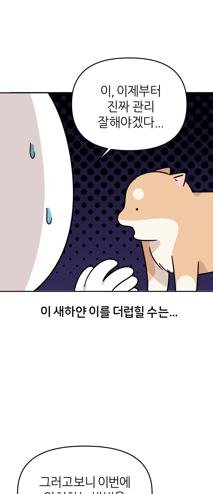34 페이지