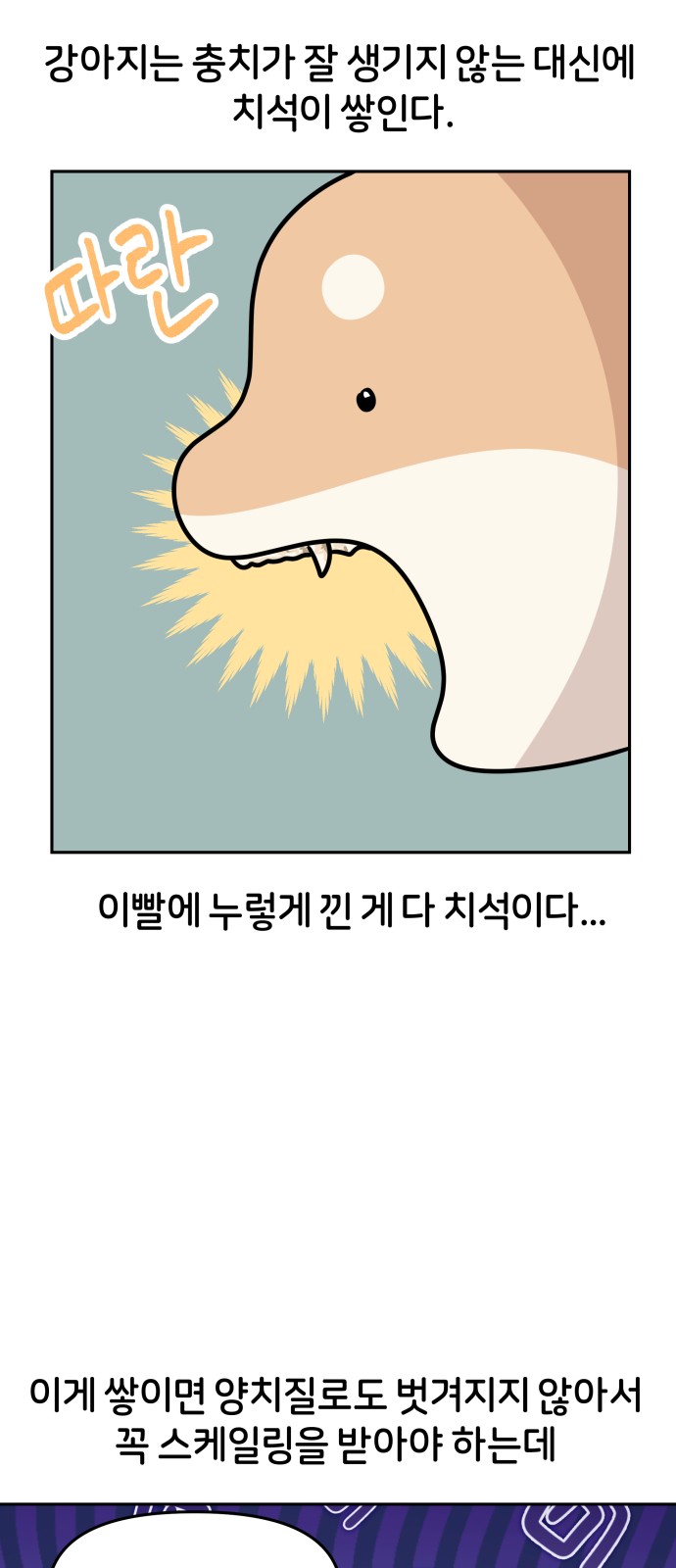 6 페이지