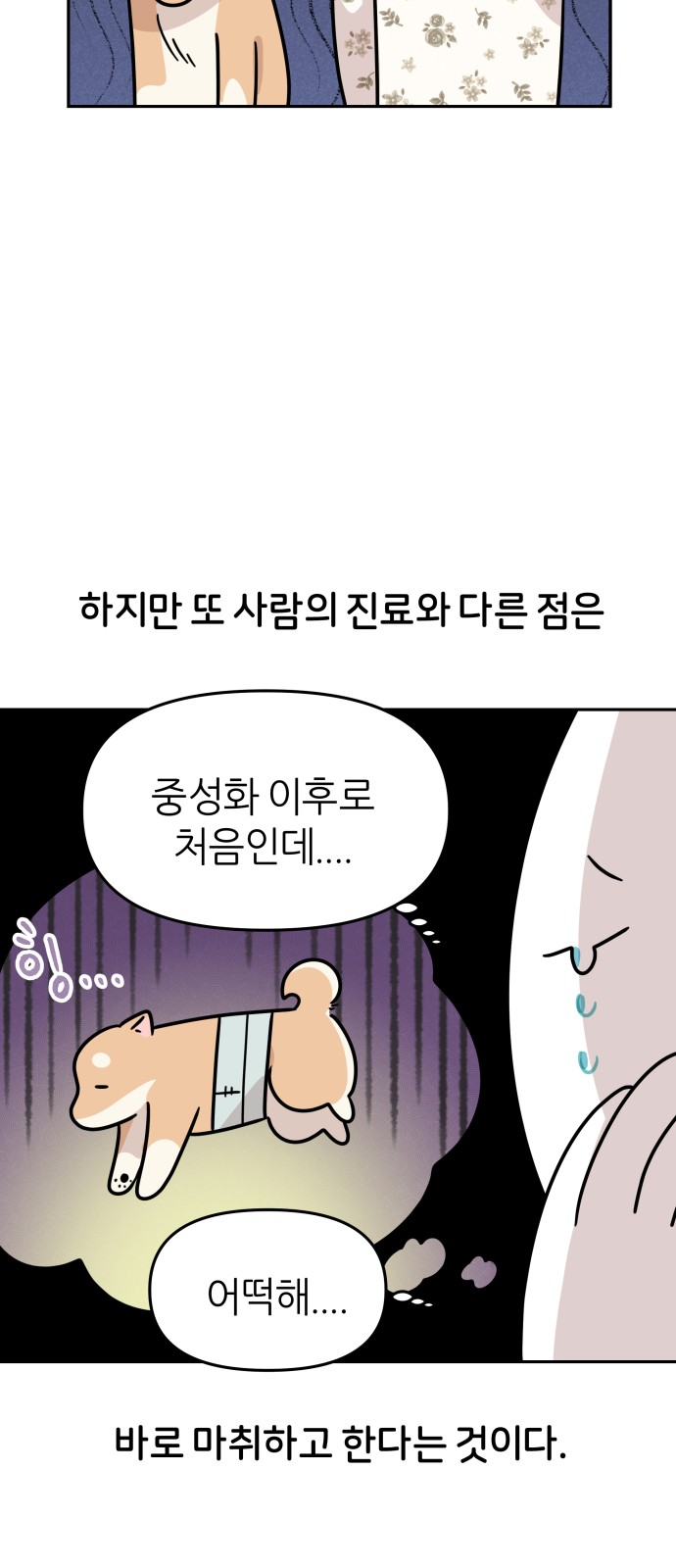 8 페이지