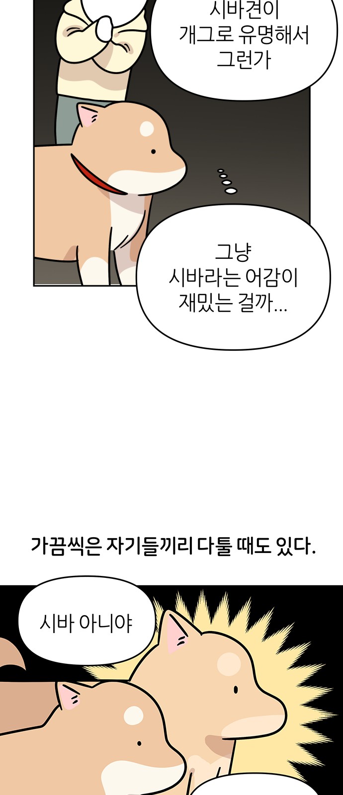 13 페이지