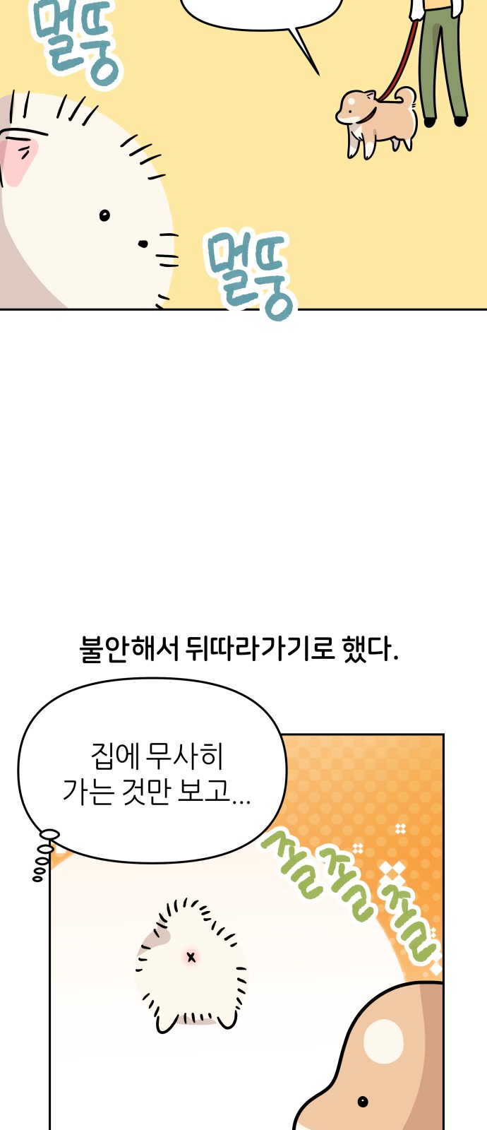 11 페이지