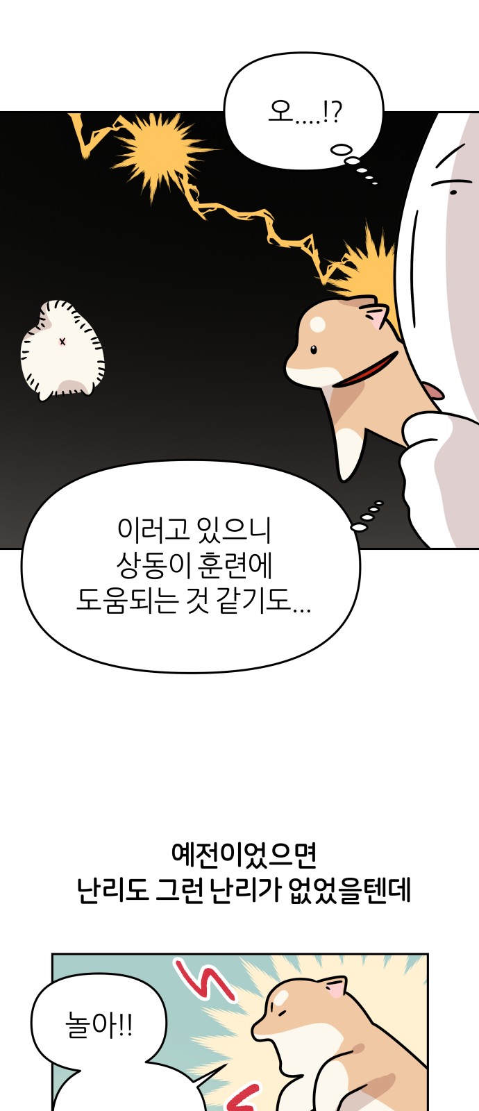 13 페이지