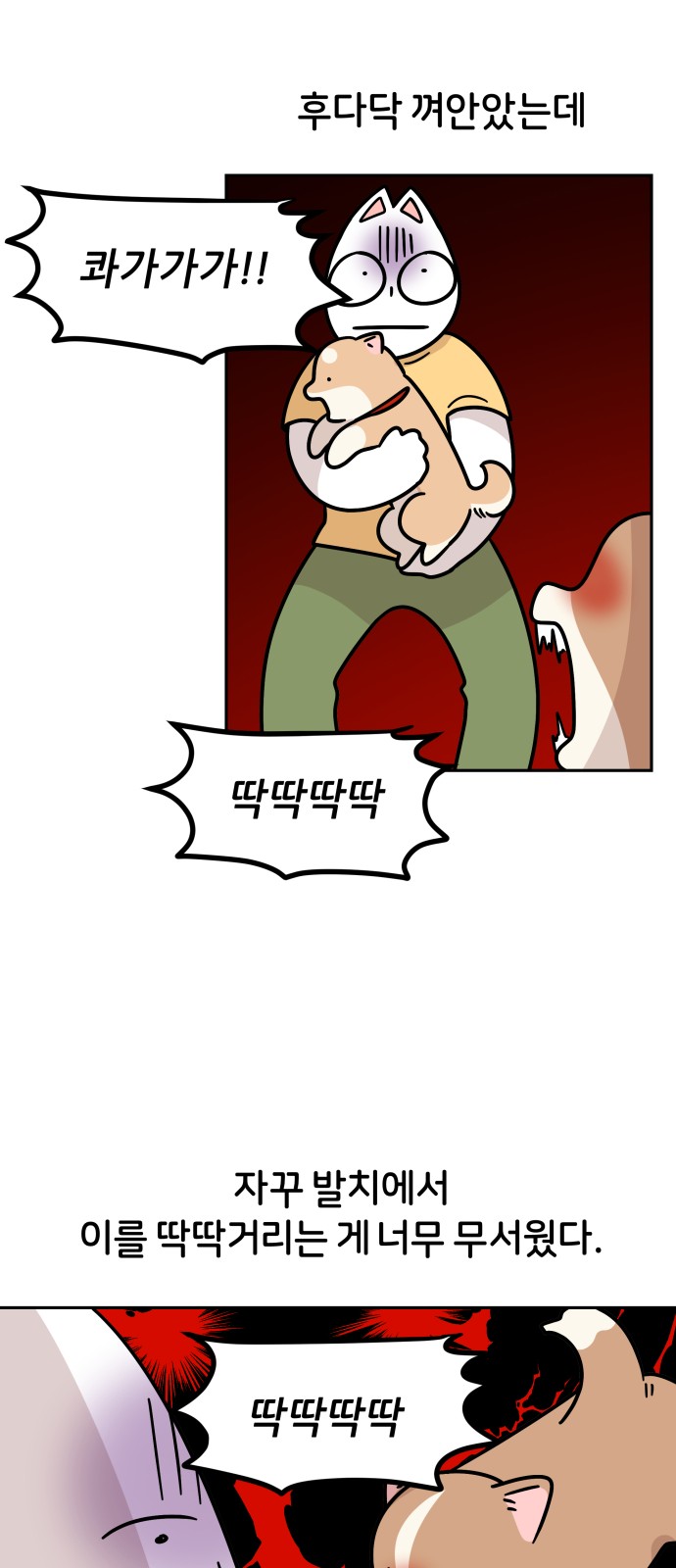 24 페이지