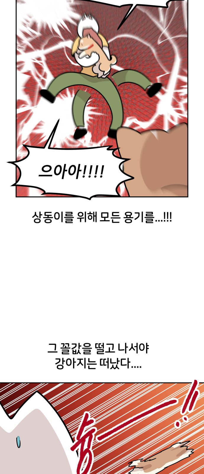 27 페이지