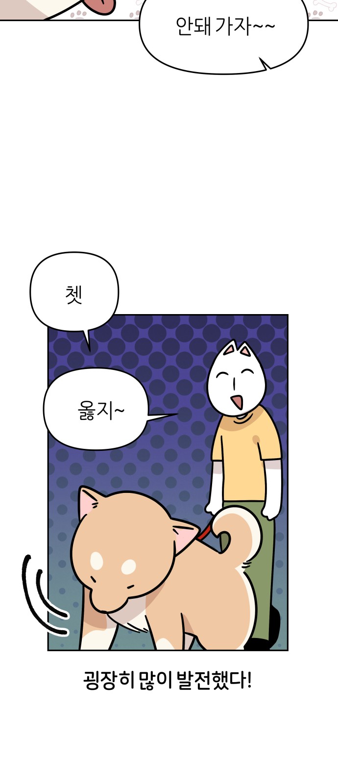4 페이지