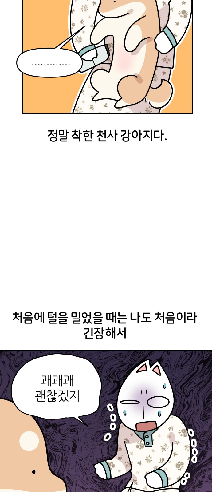 12 페이지