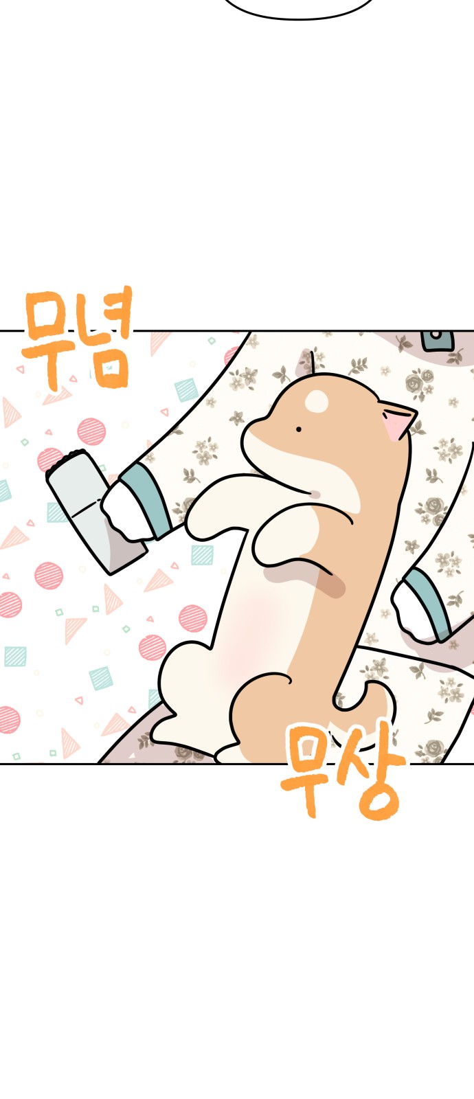 14 페이지