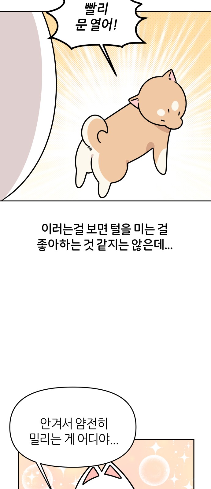 19 페이지