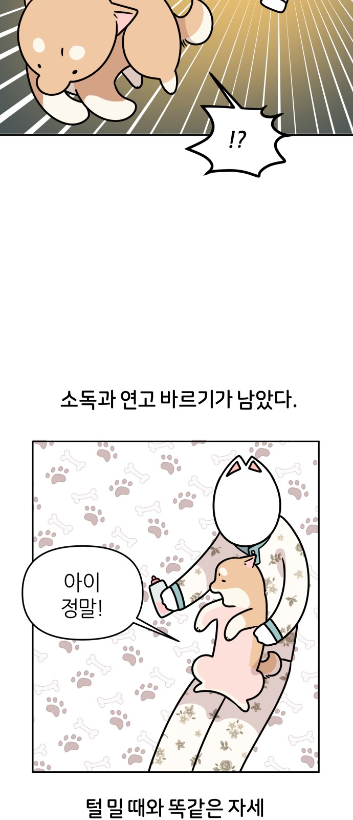 21 페이지