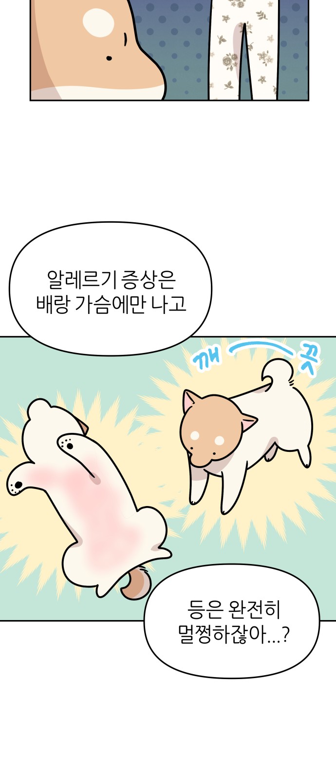 6 페이지