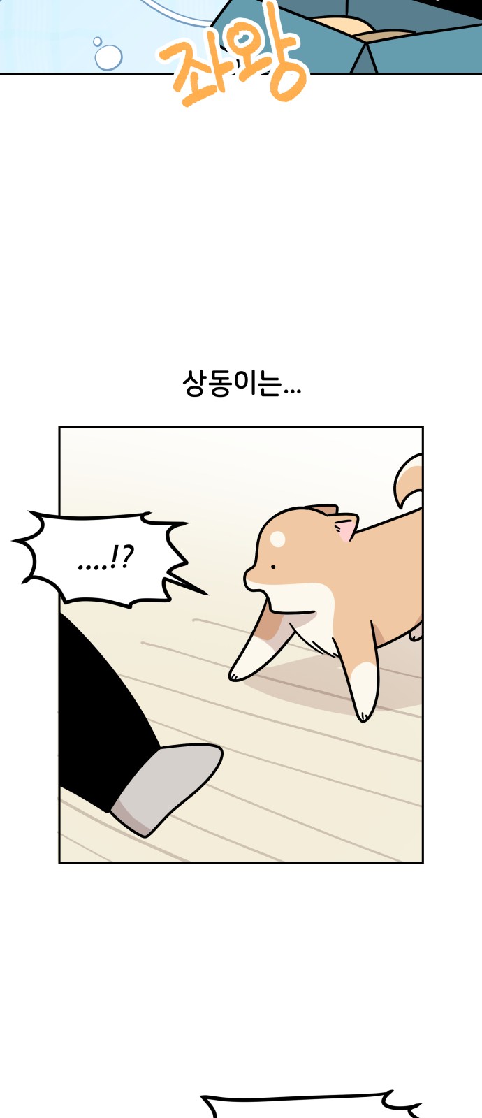 11 페이지