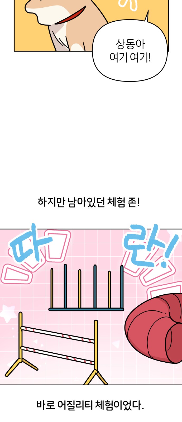 11 페이지