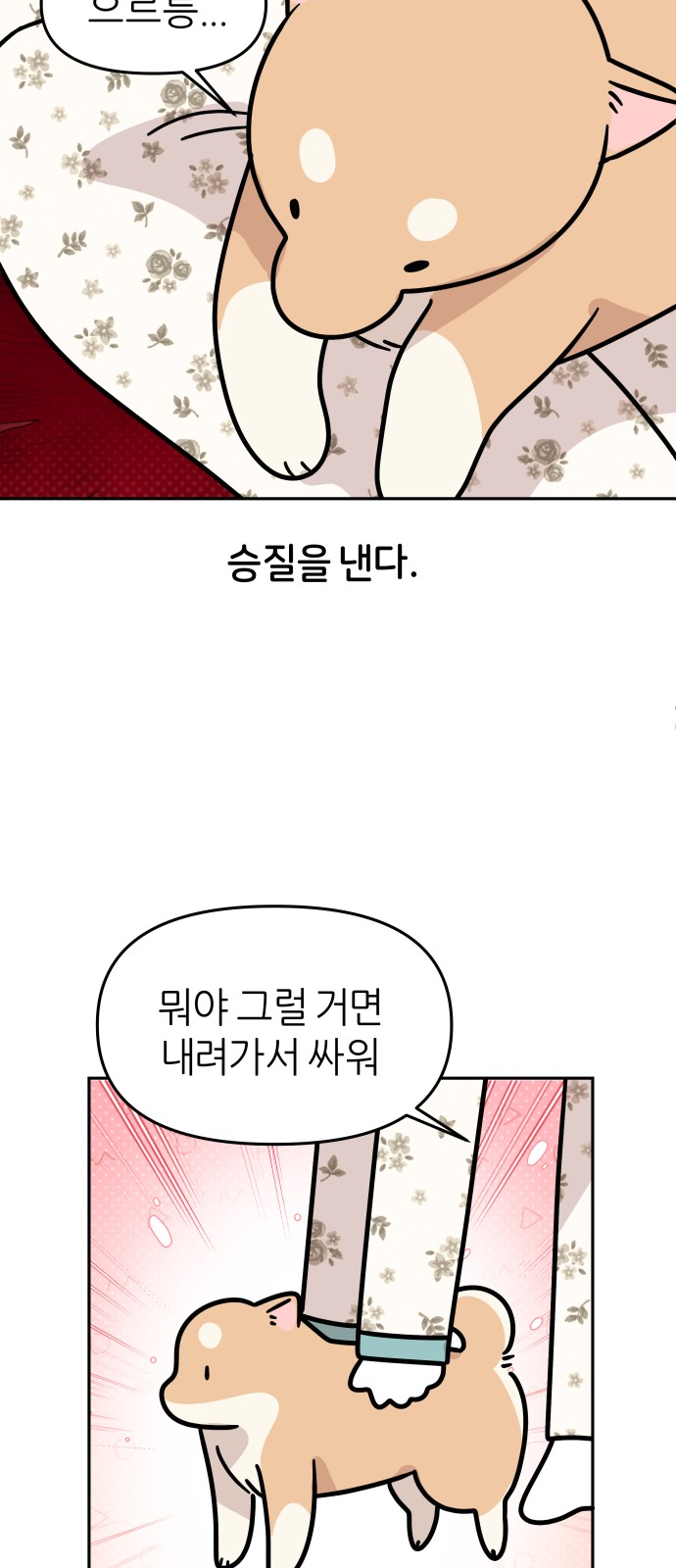 29 페이지