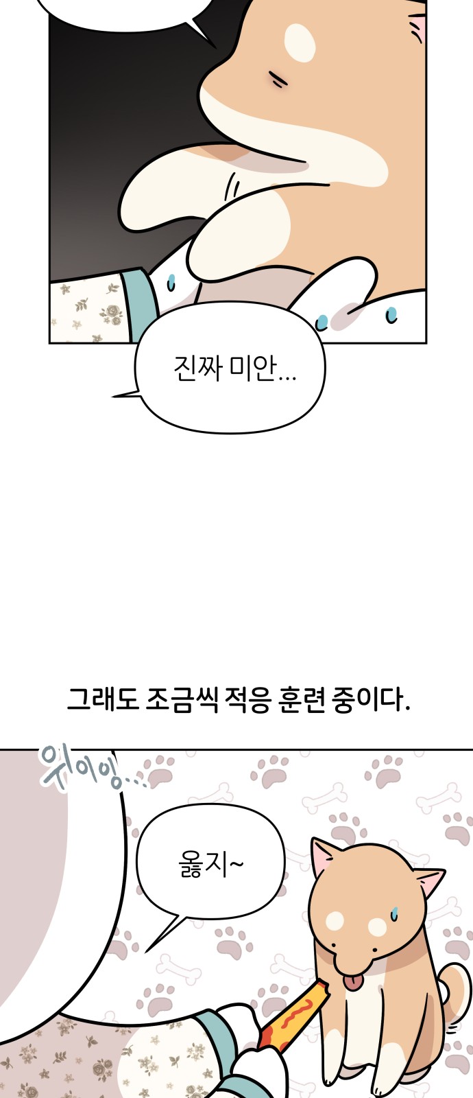 33 페이지